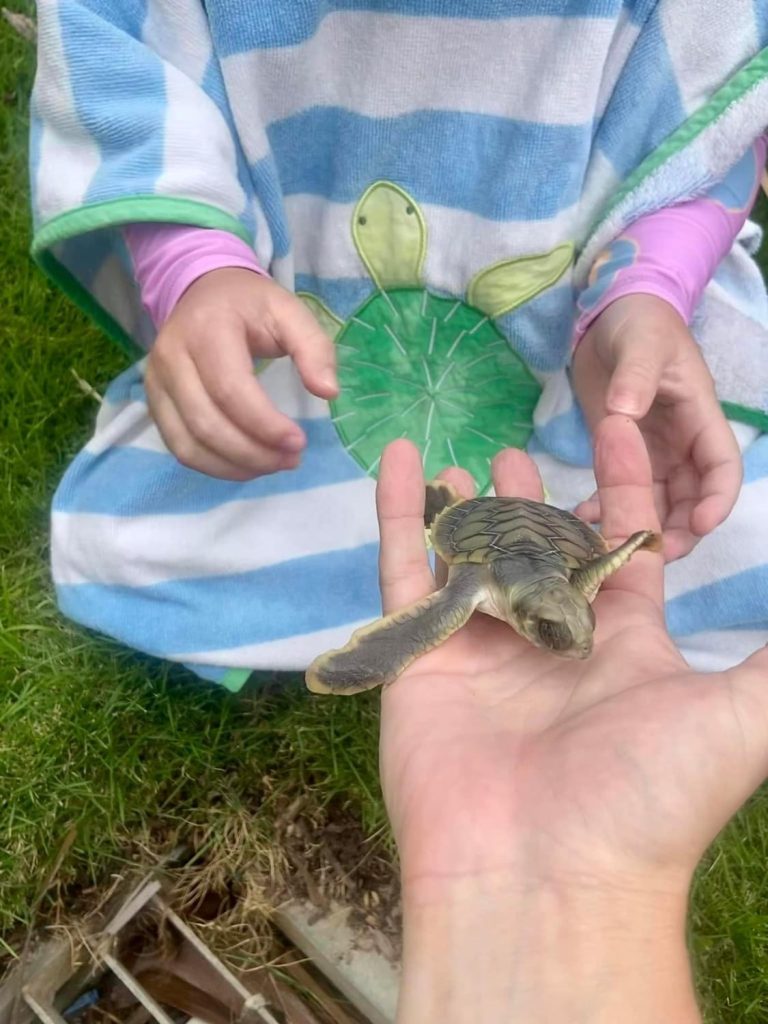 Fauna Rescue Whitsundays