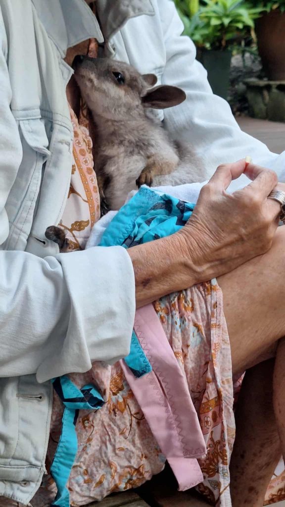 Fauna Rescue Whitsundays